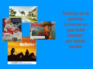 Todavía se le
    permite
 moverse en
  casi total
   libertad,
  por todas
     partes
 