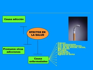 Causa adicción




                 EFECTOS EN
                  LA SALUD


                                Cáncer
                                Enf. pulmonares
                                Enf. cardiovasculares
                                Enf. de las encías, caries,
Promueve otras                  Mal aliento
                                Arrugas
  adicciones                    Fracturas
                                Impotencia
                                Agrava el asma
                     Causa
                 enfermedades
 