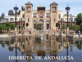 DISFRUTA  DE  ANDALUCÍA 