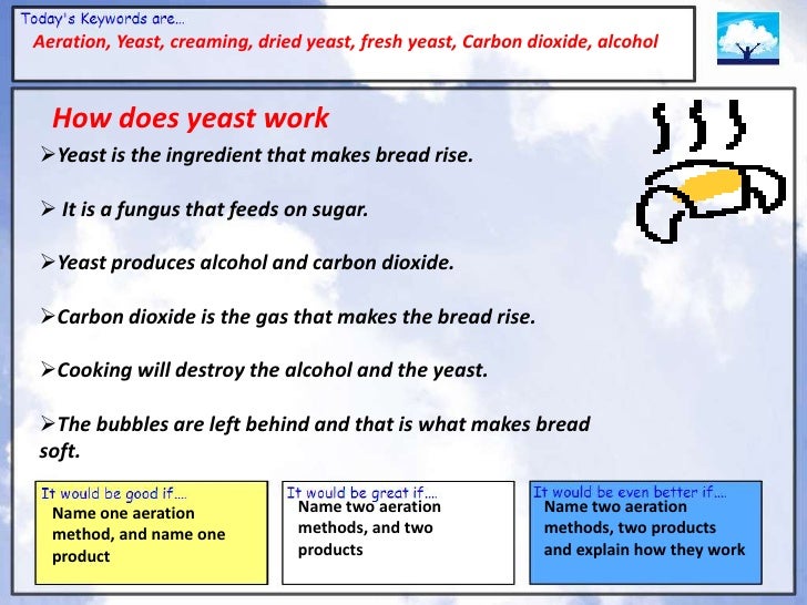 power point aeration y9 how yeast works in bread