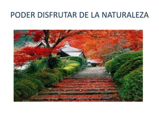 PODER DISFRUTAR DE LA NATURALEZA
 