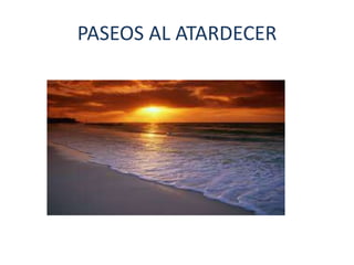 PASEOS AL ATARDECER
 