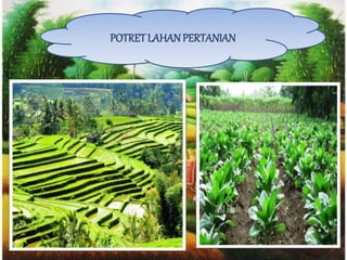 POTRETLAHANPERTANIAN
 