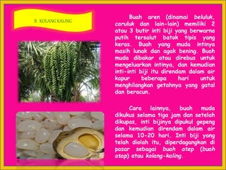 Buah aren (dinamai beluluk,
caruluk dan lain-lain) memiliki 2
atau 3 butir inti biji yang berwarna
putih tersalut batok tipis yang
keras. Buah yang muda intinya
masih lunak dan agak bening. Buah
muda dibakar atau direbus untuk
mengeluarkan intinya, dan kemudian
inti-inti biji itu direndam dalam air
kapur beberapa hari untuk
menghilangkan getahnya yang gatal
dan beracun.
Cara lainnya, buah muda
dikukus selama tiga jam dan setelah
dikupas, inti bijinya dipukul gepeng
dan kemudian direndam dalam air
selama 10-20 hari. Inti biji yang
telah diolah itu, diperdagangkan di
pasar sebagai buah atep (buah
atap) atau kolang-kaling.
B. KOLANG KALING
 