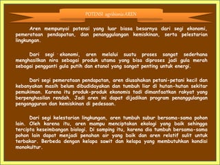 Aren mempunyai potensi yang luar biasa besarnya dari segi ekonomi,
pemerataan pendapatan, dan penanggulangan kemiskinan, serta pelestarian
lingkungan.
Dari segi ekonomi, aren melalui suatu proses sangat sederhana
menghasilkan nira sebagai produk utama yang bisa diproses jadi gula merah
sebagai pengganti gula putih dan etanol yang sangat penting untuk energi.
Dari segi pemerataan pendapatan, aren diusahakan petani-petani kecil dan
kebanyakan masih belum dibudidayakan dan tumbuh liar di hutan-hutan sekitar
pemukiman. Karena itu produk-produk ekonomis tadi dimanfaatkan rakyat yang
berpenghasilan rendah. Jadi aren ini dapat dijadikan program penanggulangan
pengangguran dan kemiskinan di pedesaan.
Dari segi kelestarian lingkungan, aren tumbuh subur bersama-sama pohon
lain. Oleh karena itu, aren mampu menciptakan ekologi yang baik sehingga
tercipta keseimbangan biologi. Di samping itu, karena dia tumbuh bersama-sama
pohon lain dapat menjadi penahan air yang baik dan aren relatif sulit untuk
terbakar. Berbeda dengan kelapa sawit dan kelapa yang membutuhkan kondisi
monokultur.
POTENSI agribisnis AREN
 