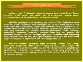 POTENSI agribisnis sapi
Agribisnis sapi di Indonesia mempunyai prospek yang sangat besar, karena
permintaan produk daging, susu maupun kulit terus meningkat, seirama dengan
pertambahan penduduk dan perkembangan perekonomian nasional.
Kebijakan pemerintah untuk mendorong agar usaha ini dapat berkembang pesat
antara lain adalah: (i) dukungan untuk menghindari dari ancaman produk luar yang tidak
ASUH, ilegal, dan barang-barang dumping, melalui kebijakan tarif maupun non-tarif; (ii)
dukungan dalam hal kepastian berusaha, keamanan, terhindar dari pungutan liar dan
pajak yang berlebihan; (iii) dukungan dalam hal pembangunan sarana pendukung,
kelembagaan, permodalan, pemasaran, persaingan usaha yang adil, promosi, dan
penyediaan informasi, serta (iv) dukungan agar usaha peternakan dapat berkembang
secara integratif dari hulu-hilir, melalui pola kemitraan, inti-plasma, dan memposisikan
yang besar maupun kecil dapat tumbuh dan berkembang secara adil.
Kebijakan tersebut diharapkan dapat mendorong investasi yang mampu
menciptakan lapangan kerja untuk kegiatan budidaya bagi 200.000 tenaga kerja, serta
satu juta tenaga kerja dalam kegiatan hulu dan hilir. Dengan demikian pengembangan
agribisnis sapi di Indonesia akan mampu menjawab tantangan yang dihadapi bangsa
dalam hal ketahanan pangan, lapangan kerja, kesejahteraan masyarakat, devisa, serta
perekonomian nasional.
 
