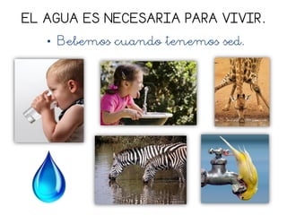 EL AGUA ES NECESARIA PARA VIVIR.
• Bebemos cuando tenemos sed.
 