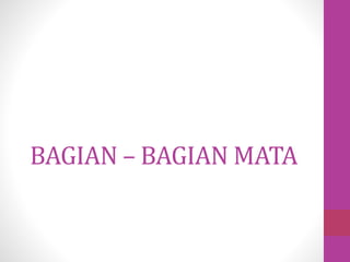 BAGIAN – BAGIAN MATA