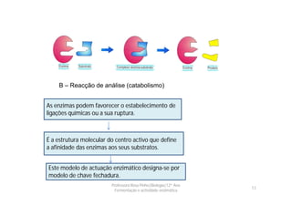 B – Reacção de análise (catabolismo)


As enzimas podem favorecer o estabelecimento de
ligações químicas ou a sua ruptura.



É a estrutura molecular do centro activo que define
a afinidade das enzimas aos seus substratos.


Este modelo de actuação enzimático designa-se por
modelo de chave fechadura.
                         Professora Rosa Pinho|Biologia|12º Ano
                                                                  13
                           Fermentação e actividade enzimática
 