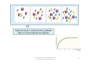 Depois de actuar, a enzima fica livre, podendo
   ligar-se a novas moléculas de substrato




                        Professora Rosa Pinho|Biologia|12º Ano
                                                                 14
                          Fermentação e actividade enzimática
 