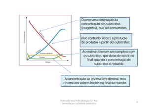 Ocorre uma diminuição da
                     concentração dos substratos
                     (reagentes), que são consumidos.


                     Pelo contrário, ocorre a produção
                     de produtos a partir dos substratos.

                      As enzimas formam um complexo com
                       os substratos, que deixa de existir no
                         final, quando a concentração de
                                substratos é reduzida



    A concentração da enzima livre diminui, mas
   retoma aos valores iniciais no final da reacção.




Professora Rosa Pinho|Biologia|12º Ano
                                                                15
  Fermentação e actividade enzimática
 