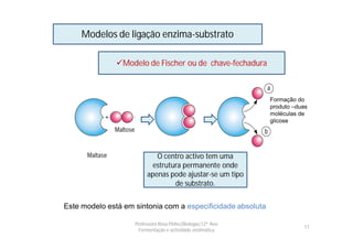 Modelos de ligação enzima-substrato

               Modelo de Fischer ou de chave-fechadura



                                                             Formação do
                                                             produto –duas
                                                             moléculas de
                                                             glicose




                            O centro activo tem uma
                           estrutura permanente onde
                         apenas pode ajustar-se um tipo
                                  de substrato.


Este modelo está em sintonia com a especificidade absoluta

                    Professora Rosa Pinho|Biologia|12º Ano
                                                                        17
                      Fermentação e actividade enzimática
 
