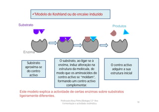 Modelo de Koshland ou do encaixe induzido

Substrato                                                           Produtos




  Enzima

                         O substrato, ao ligar-se à
     Substrato
                        enzima, induz alteração na                 O centro activo
    aproxima-se
                         estrutura da molécula, de                  adquire a sua
     do centro
                       modo que os aminoácidos do                  estrutura inicial
       activo
                        centro activo se “moldam”,
                        formando um centro activo
                              complementar.
Este modelo explica a actividade de certas enzimas sobre substratos
ligeiramente diferentes.
                          Professora Rosa Pinho|Biologia|12º Ano
                                                                                       18
                            Fermentação e actividade enzimática
 