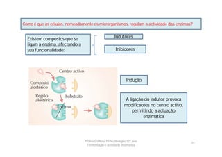 Como é que as células, nomeadamente os microrganismos, regulam a actividade das enzimas?


  Existem compostos que se                           Indutores
  ligam à enzima, afectando a
  sua funcionalidade:                                 Inibidores




                                                              Indução



                                                            A ligação do indutor provoca
                                                            modificações no centro activo,
                                                                permitindo a actuação
                                                                     enzimática




                                Professora Rosa Pinho|Biologia|12º Ano
                                                                                             19
                                  Fermentação e actividade enzimática
 