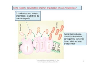 Como regular a actividade de enzimas organizadas em vias metabólicas?

  O produto de uma reacção
  enzimática é o substrato da
  reacção seguinte.




                                                                   Numa via metabólica,
                                                                   uma série de enzimas
                                                                   participam na conversão
                                                                   de um substrato a um
                                                                   produto final.




                          Professora Rosa Pinho|Biologia|12º Ano
                                                                                        22
                            Fermentação e actividade enzimática
 