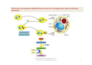 Quais são os processos metabólicos que tornam os microrganismos úteis na indústria
alimentar?




                             Professora Rosa Pinho|Biologia|12º Ano
                                                                                     6
                               Fermentação e actividade enzimática
 