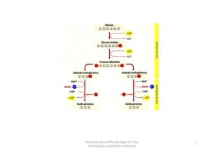 Professora Rosa Pinho|Biologia|12º Ano
                                         7
  Fermentação e actividade enzimática
 