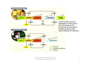 O ácido pirúvico pode ser
                                         degradado em álcool etílico,
                                         com a formação de CO2.
                                         É essencial na produção de
                                         bebidas alcoólicas e pão,
                                         sendo realizado por leveduras.




Professora Rosa Pinho|Biologia|12º Ano
                                                                      8
  Fermentação e actividade enzimática
 
