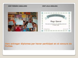 Vam entregar diplomes per haverparticipat en el concurs de fruites.CEIP FERNÁN CABALLERO                                  CEIP LOLA ANGLADA