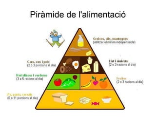 Piràmide de l'alimentació
 