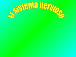 El sistema nervioso 