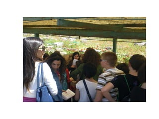 Powerpoint alternanza2