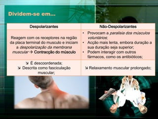 Dividem-se em…
Despolarizantes

Não-Despolarizantes

Reagem com os receptores na região
da placa terminal do musculo e iniciam
a despolarização da membrana
muscular  Contracção do músculo

• Provocam a paralisia dos músculos
voluntários;
• Acção mais lenta, embora duração a
sua duração seja superior;
• Podem interagir com outros
fármacos, como os antibióticos;

 É descoordenada;
 Descrita como fasciculação
muscular;

 Relaxamento muscular prolongado;

 