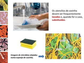 Os utensílios de cozinha devem ser frequentemente  lavados   e, quando for o caso,  substituídos . Imagem de micróbios alojados numa esponja de cozinha. 
