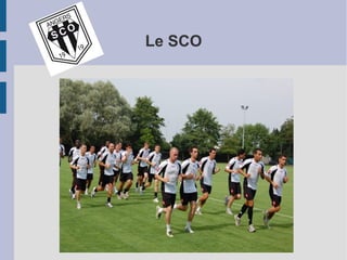 Le SCO
 