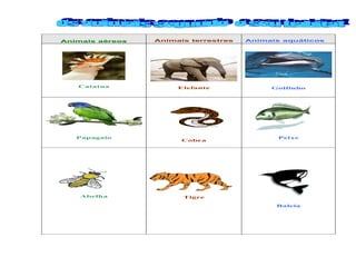 Animais aéreos Animais terrestres Animais aquáticos
Catatua Elefante Golfinho
Papagaio
Cobra
Peixe
Abelha Tigre
Baleia
 