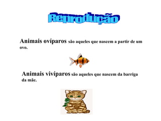 Animais ovíparos são aqueles que nascem a partir de um
ovo.
Animais vivíparos são aqueles que nascem da barriga
da mãe.
 