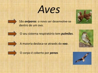 Aves
São ovíparos: o novo ser desenvolve-se
dentro de um ovo.
O seu sistema respiratório tem pulmões.
A maioria desloca-se através do voo.
O corpo é coberto por penas.
 