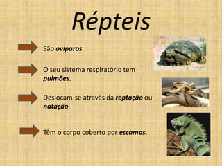 Répteis
São ovíparos.
O seu sistema respiratório tem
pulmões.
Deslocam-se através da reptação ou
natação.
Têm o corpo coberto por escamas.
 