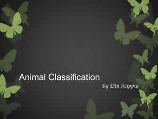 Animal Classification
                        By Elin Kappus
 