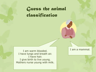Power point animal classification
