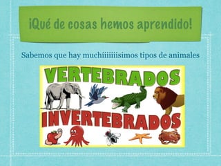 ¡Qué de cosas hemos aprendido!
Sabemos que hay muchíiiiiiisimos tipos de animales