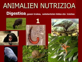 ANIMALIEN NUTRIZIOA  Digestioa , gasen trukea,  substantzien bidea eta  iraiztea  1 