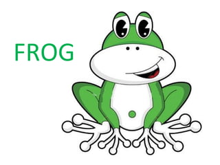 FROG 