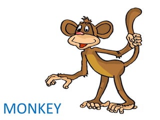 MONKEY 