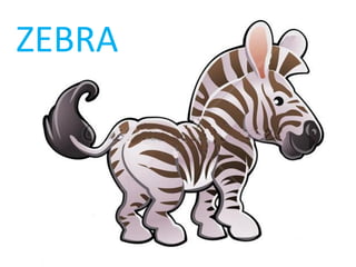 ZEBRA 