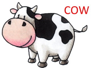 COW 