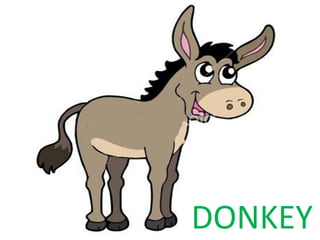 DONKEY 