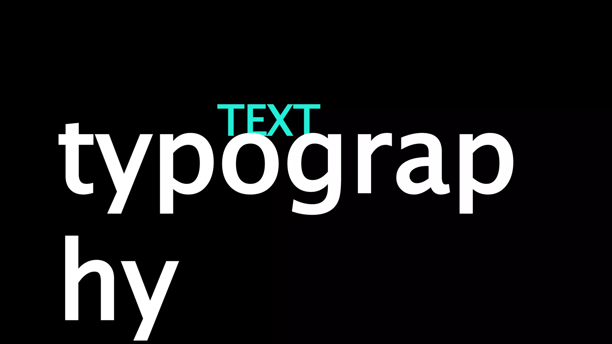 TEXT
ANIMATIONS
typograp
hy