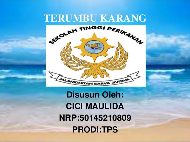 PPT BIOLOGI TERUMBU KARANG PowerPoint Presentation ID PPT BIOLOGI TERUMBU KARANG PowerPoint Presentation ID