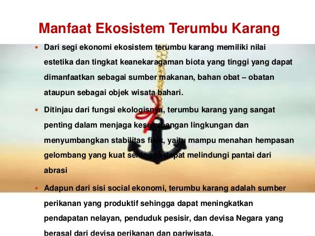 Power point terumbu karang