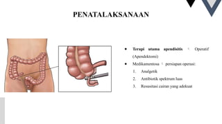 PENATALAKSANAAN
● Terapi utama apendisitis  Operatif
(Apendektomi)
● Medikamentosa  persiapan operasi:
1. Analgetik
2. Antibiotik spektrum luas
3. Resusitasi cairan yang adekuat
 
