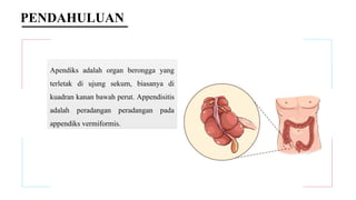 PENDAHULUAN
Apendiks adalah organ berongga yang
terletak di ujung sekum, biasanya di
kuadran kanan bawah perut. Appendisitis
adalah peradangan peradangan pada
appendiks vermiformis.
 