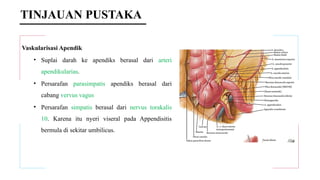 TINJAUAN PUSTAKA
Vaskularisasi Apendik
• Suplai darah ke apendiks berasal dari arteri
apendikularias.
• Persarafan parasimpatis apendiks berasal dari
cabang vervus vagus
• Persarafan simpatis berasal dari nervus torakalis
10. Karena itu nyeri viseral pada Appendisitis
bermula di sekitar umbilicus.
 