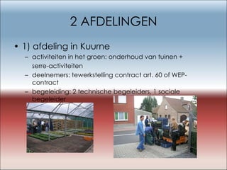 2 AFDELINGEN 1) afdeling in Kuurne activiteiten in het groen: onderhoud van tuinen +  serre-activiteiten deelnemers: tewerkstelling contract art. 60 of WEP-contract  begeleiding: 2 technische begeleiders, 1 sociale begeleider 