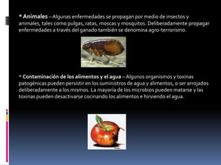 * Animales – Algunas enfermedades se propagan por medio de insectos y
animales, tales como pulgas, ratas, moscas y mosquitos. Deliberadamente propagar
enfermedades a través del ganado también se denomina agro-terrorismo.




* Contaminación de los alimentos y el agua – Algunos organismos y toxinas
patogénicas pueden persistir en los suministros de agua y alimentos, o ser arrojados
deliberadamente a los mismos. La mayoría de los microbios pueden matarse y las
toxinas pueden desactivarse cocinando los alimentos e hirviendo el agua.
 